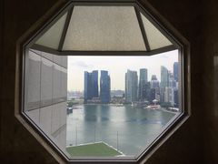 -新加坡丽思卡尔顿美年酒店