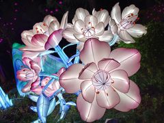 -厦门园林博览苑