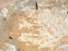 -盱眙红叶龙虾(金源北路店)