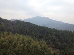 iphone_upload_pic-东林大佛