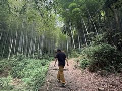 -午潮山国家森林公园