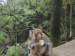-黔灵山公园