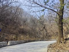 -北京鹫峰国家森林公园