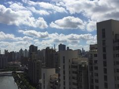 -新湖明珠城