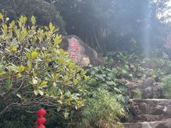 -乌山风景区