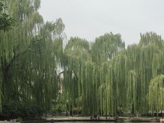 -玲珑塔公园