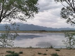 -野鸭湖国家湿地公园