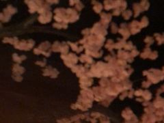 -蓝鲸湾汤泉(包河店)