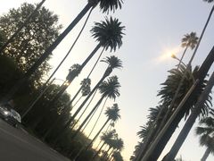 -比弗利花园