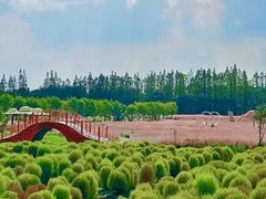 -嘉北郊野公园