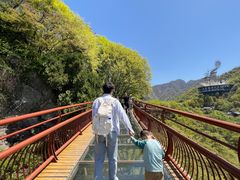 -少华山国家森林公园