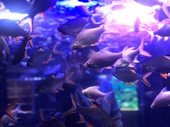 -成都浩海立方海洋公园