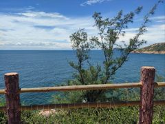 -广东惠东海龟国家级自然保护区