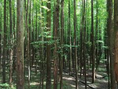 -山王坪喀斯特国家生态公园