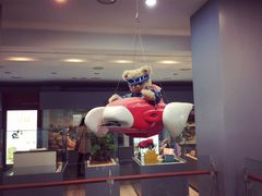 -济州岛泰迪熊博物馆