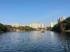 -荔湾湖公园