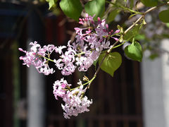 -满都海公园