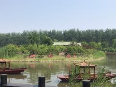 -合肥滨湖国家森林公园