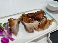 -凯鸽酒楼(大同振兴街店)