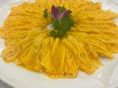 黄埔炒蛋-姚林轩