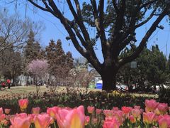 -无锡梅园公园