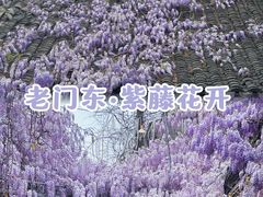 -老门东历史文化街区