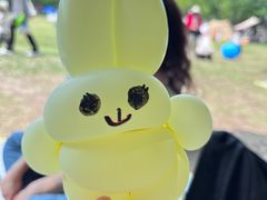 -吴淞炮台湾湿地森林公园烧烤区