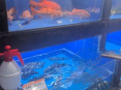 -徐记海鲜(陕西历史博物馆|明德门店)