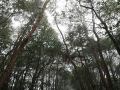 -溪口-滕头旅游景区