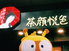 -茶颜悦色(岳麓山顶店)