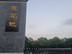 -莲花池公园