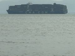 -演武大桥观景平台