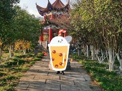 -开福禅寺