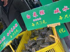 -召稼楼永茂昌粽子大王