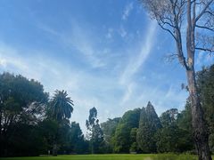 -墨尔本皇家植物园