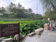 -莲湖公园