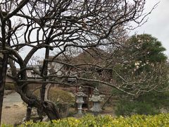 -松岛