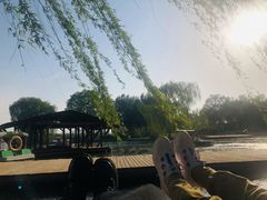 -石家庄市植物园