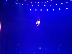 -珠海横琴长隆《卡卡虎奇遇记》