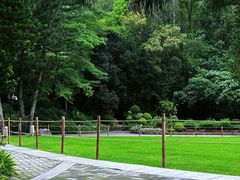 -深圳仙湖植物园