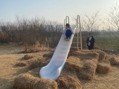 -长田漾湿地公园