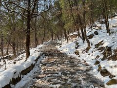 -阳台山自然风景区