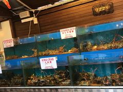 -真浪花园海鲜餐馆