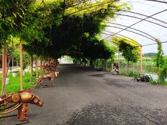-河北村民俗体验园