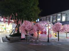 -证大大拇指广场(芳甸路店)