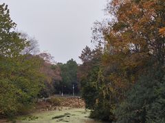 -月湖风景区