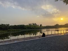 -东郊湿地公园