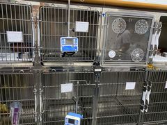 -宠爱国际动物医院·疑难骨科·心肾内科·皮肤科(太阳宫店)