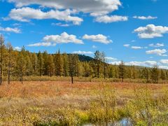 -莫尔道嘎国家森林公园
