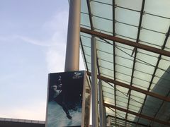 -南京奥林匹克体育中心-体育馆